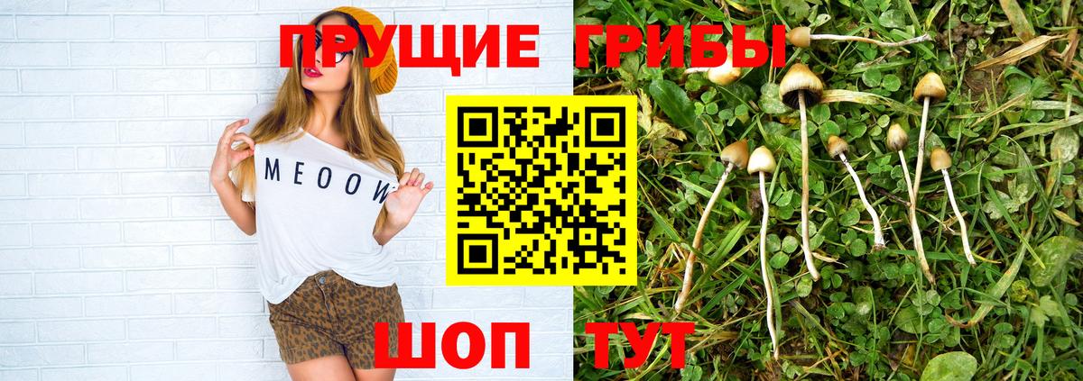 Псилоцибиновые грибы Cubensis Уварово