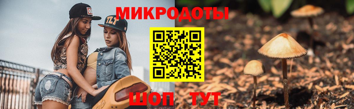 Галлюциногенные грибы Psilocybine cubensis  Вход с VPN  Уварово 